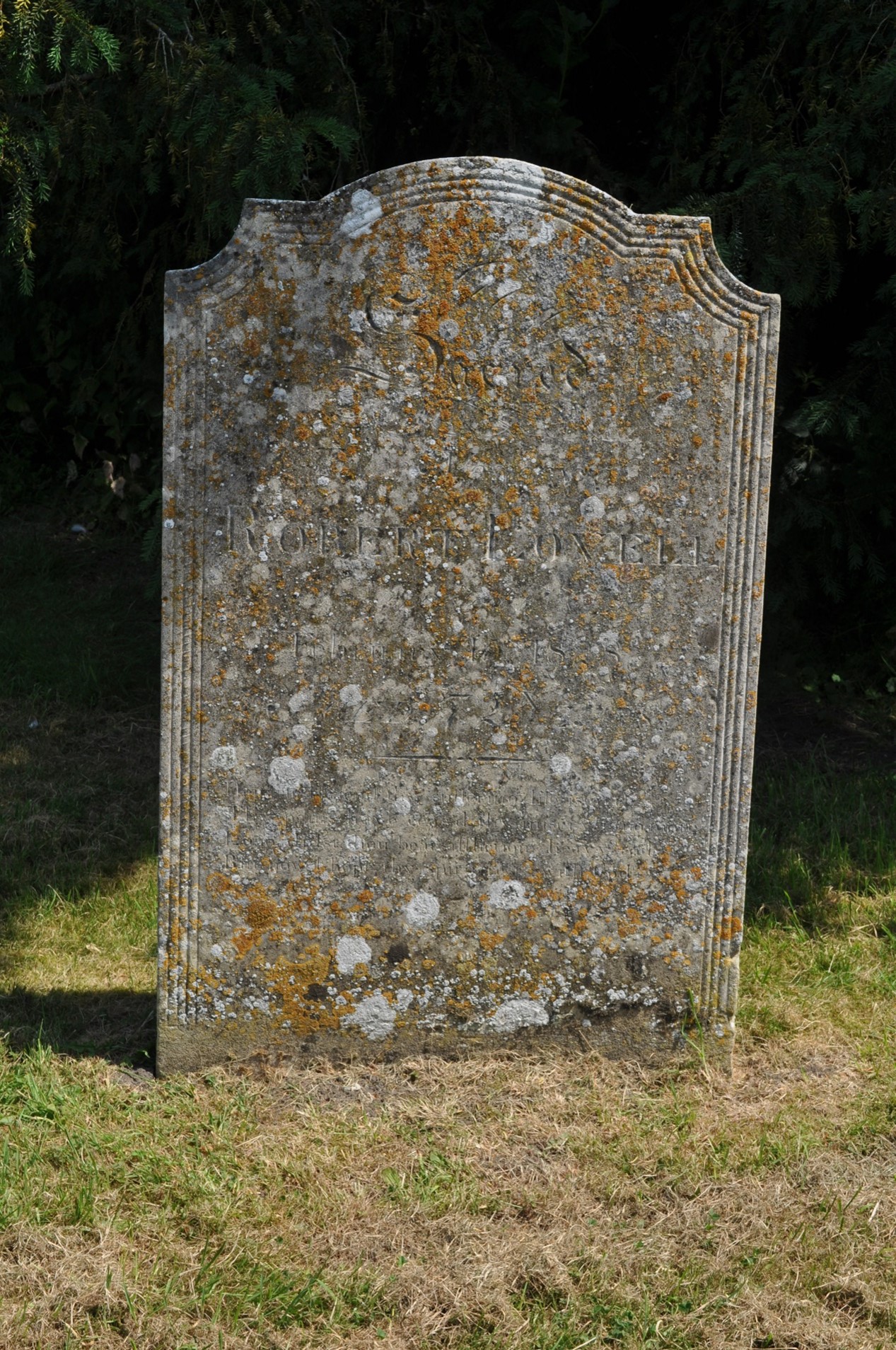 image010