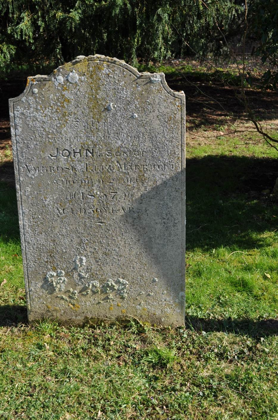 image018