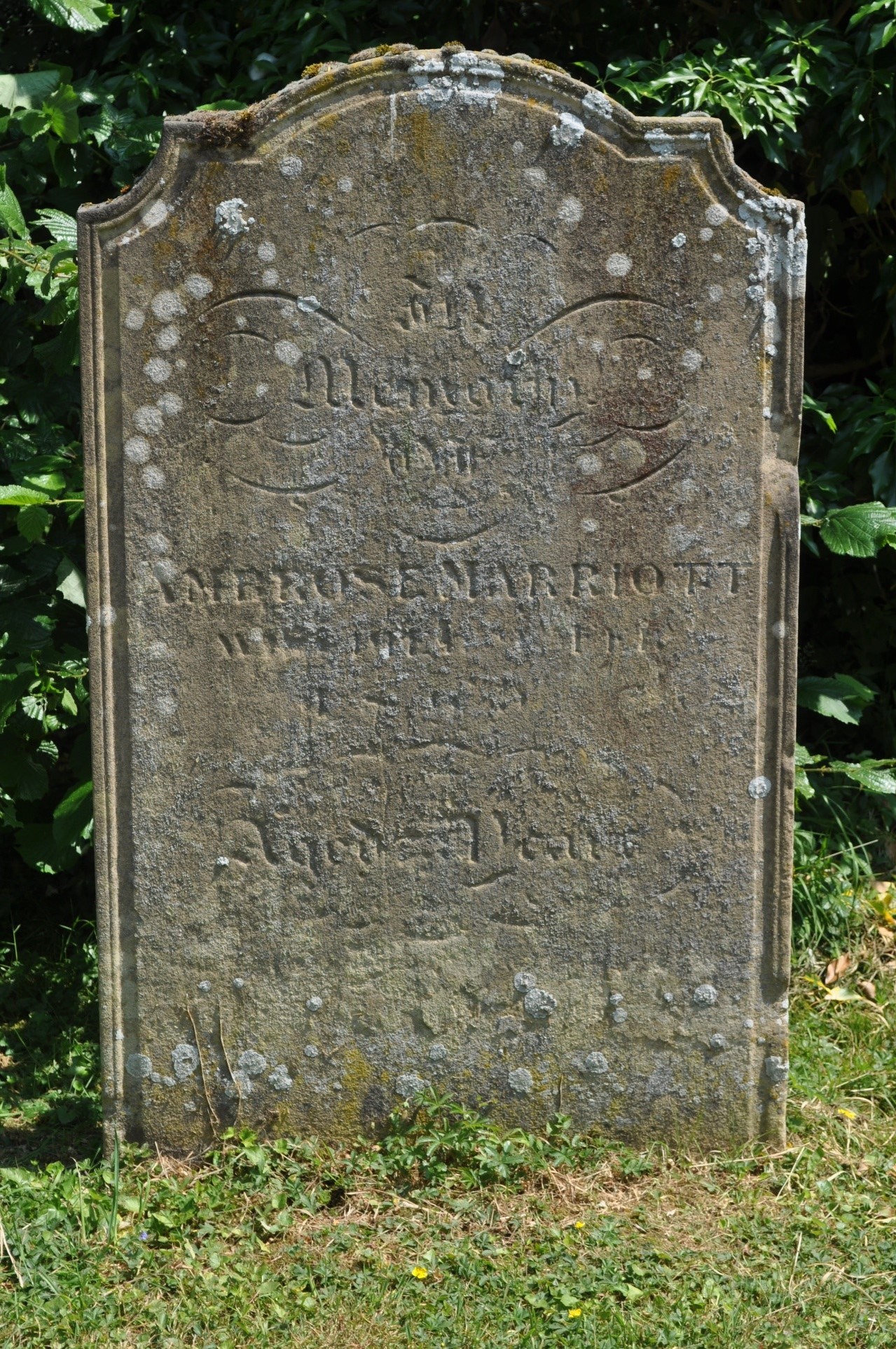image020