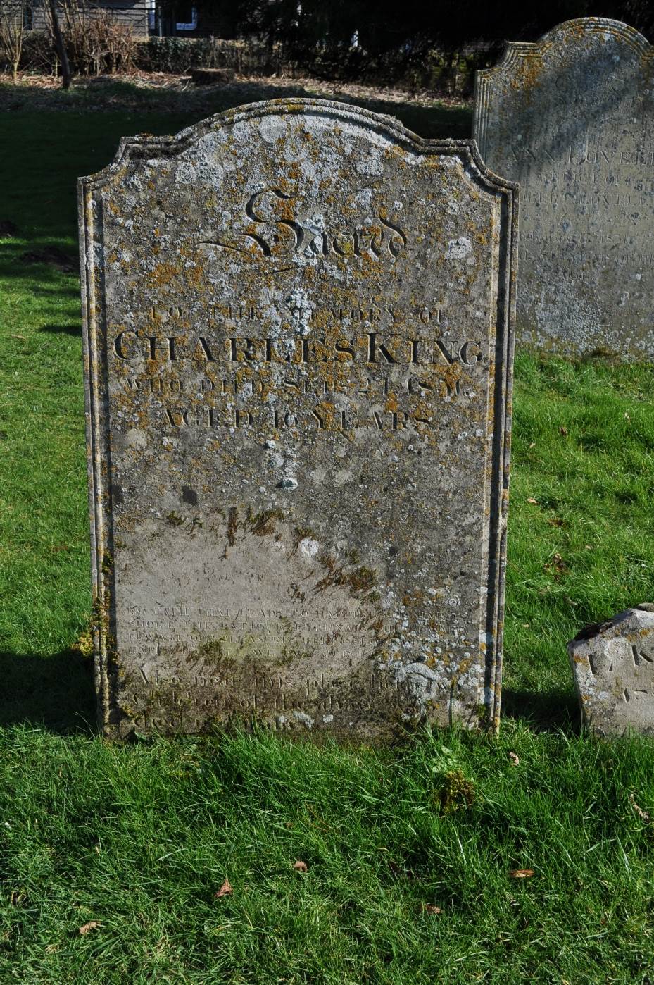image026